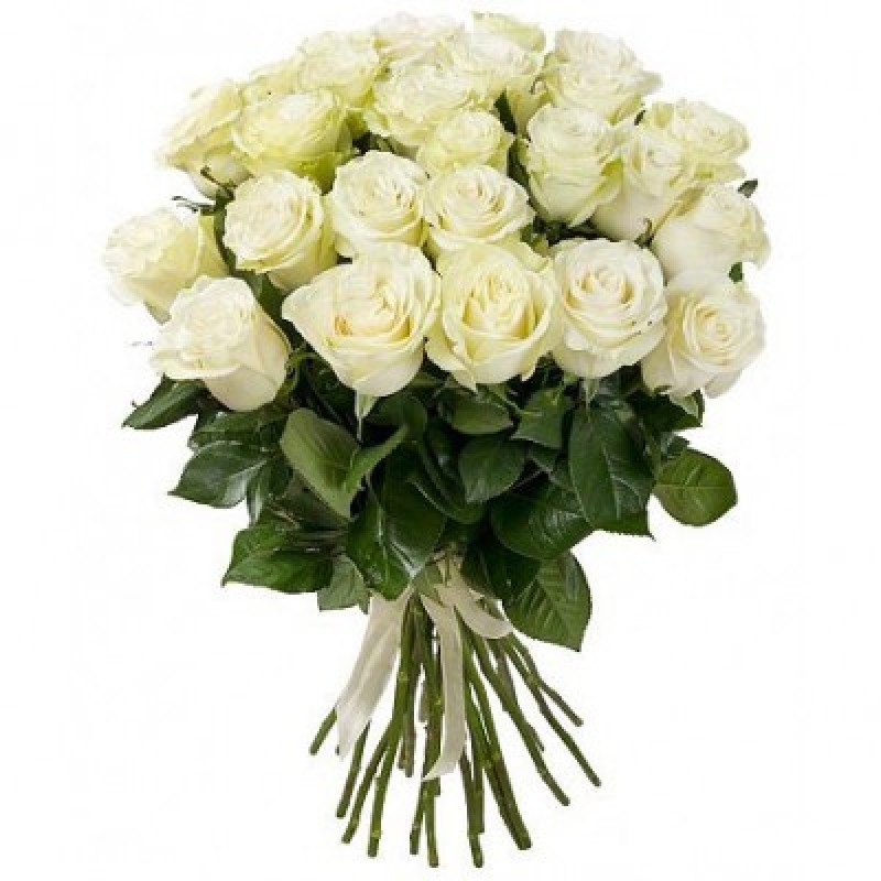 Sumptuous Bunch white roses